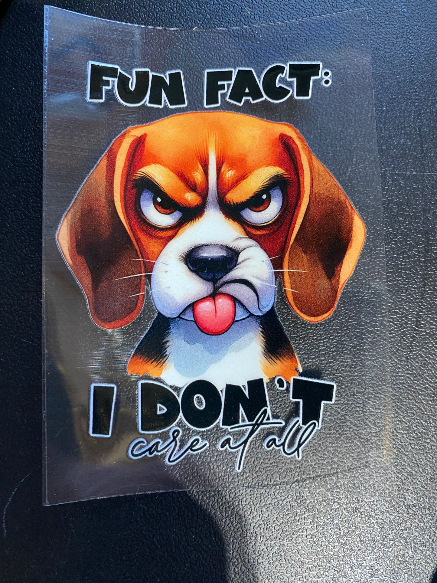 Fun fact decal 4”